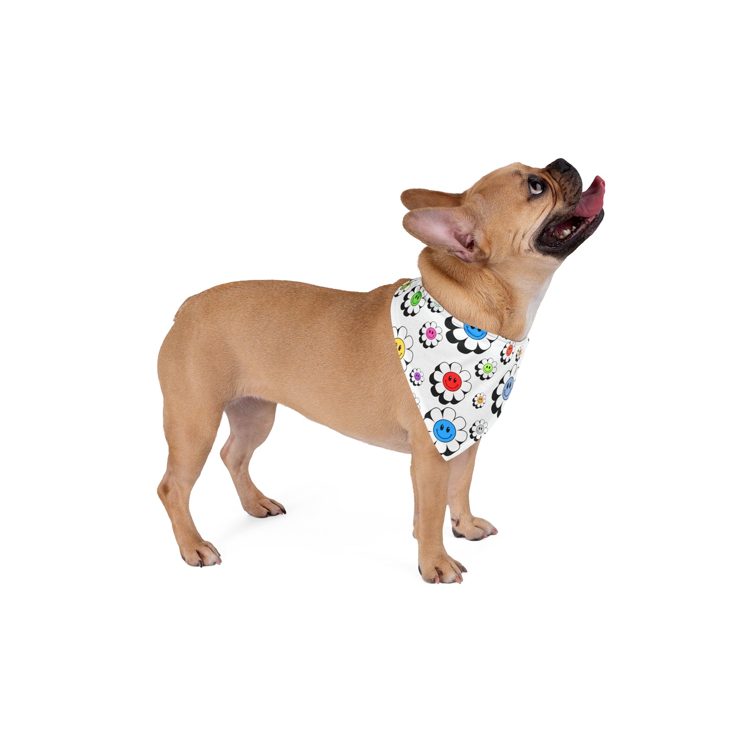 Happy Flower Pet Bandana, Dog Scarf, Cute Pet Accessory, Floral Dog Bandana, Gift for Pet Lovers, Spring Pet Fashion